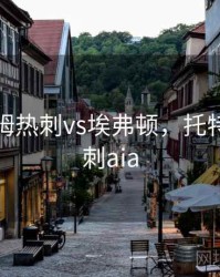 托特纳姆热刺vs埃弗顿，托特纳姆热刺aia