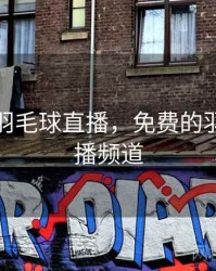 免费看羽毛球直播，免费的羽毛球直播频道