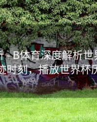 进球分析 - B体育深度解析世界杯历史奇迹时刻，播放世界杯历史