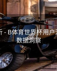 热度分析 - B体育世界杯用户活跃行为数据洞察