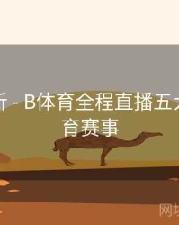 功能解析 - B体育全程直播五大热门体育赛事