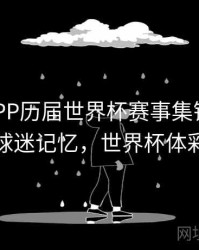 B体育APP历届世界杯赛事集锦观看指南 - 球迷记忆，世界杯体彩app