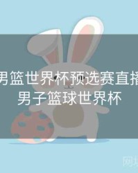 2023年男篮世界杯预选赛直播，2023男子篮球世界杯