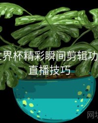 B体育世界杯精彩瞬间剪辑功能详解｜直播技巧
