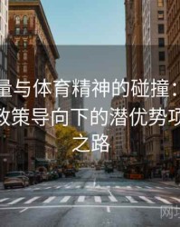 国家力量与体育精神的碰撞：安博体育app政策导向下的潜优势项目逆袭之路