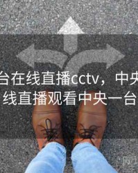 中央13台在线直播cctv，中央13台在线直播观看中央一台