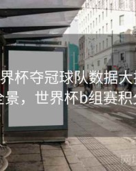 B体育世界杯夺冠球队数据大揭秘｜赛事全景，世界杯b组赛积分表