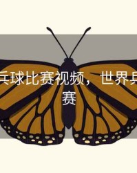 世界乒乓球比赛视频，世界乒乓球比赛
