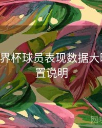 B体育世界杯球员表现数据大曝光｜设置说明