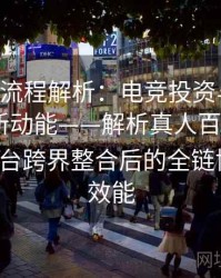 B体育全流程解析：电竞投资与体育投注协同新动能——解析真人百家乐、Pg电子平台跨界整合后的全链协同运营效能