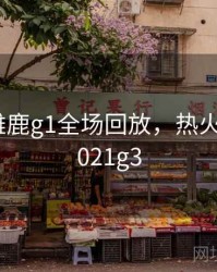 热火vs雄鹿g1全场回放，热火vs雄鹿2021g3