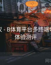 优化建议 - B体育平台多终端切换无缝体验测评