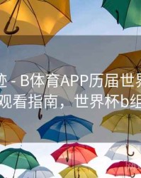 历史轨迹 - B体育APP历届世界杯赛事集锦观看指南，世界杯b组赛程
