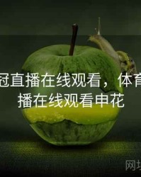 体育亚冠直播在线观看，体育亚冠直播在线观看申花