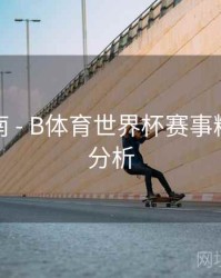 互动指南 - B体育世界杯赛事精彩数据分析