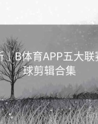 系统更新｜B体育APP五大联赛精彩进球剪辑合集