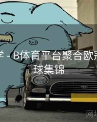 新手教学 - B体育平台聚合欧冠精彩进球集锦