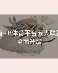 用户指南 - B体育平台五大联赛专题页全面升级