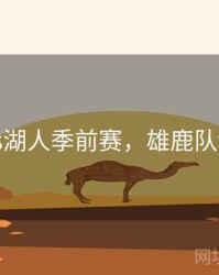 雄鹿vs湖人季前赛，雄鹿队vs湖人