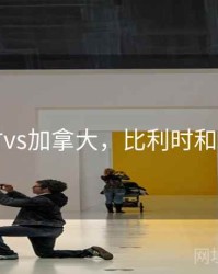 比利时vs加拿大，比利时和加拿大