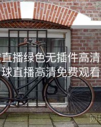 360足球直播绿色无插件高清，360足球直播高清免费观看