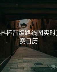 B体育世界杯晋级路线图实时更新｜观赛日历