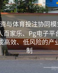 电竞投资与体育投注协同模式全解：解析真人百家乐、Pg电子平台整合后如何形成高效、低风险的产业运营机制