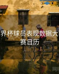 B体育世界杯球员表现数据大曝光 - 观赛日历