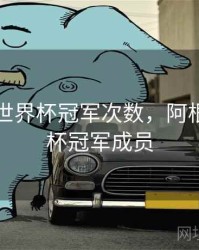 阿根廷世界杯冠军次数，阿根廷世界杯冠军成员