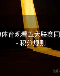 如何在B体育观看五大联赛同步直播？ - 积分规则
