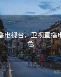 卫视直播电视台，卫视直播电视台红色