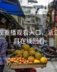 浙江卫视重播观看入口，浙江卫视节目在线回看