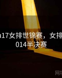 2024年u17女排世锦赛，女排世锦赛2014半决赛