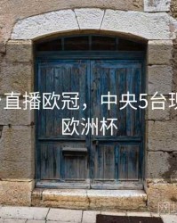 中央5台直播欧冠，中央5台现场直播欧洲杯