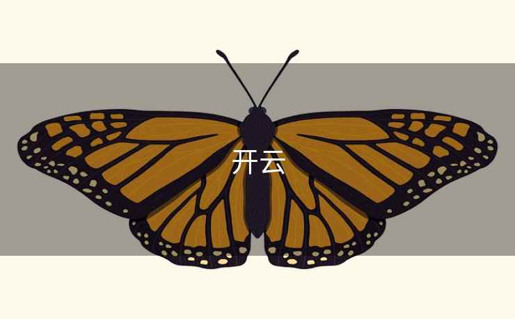 开云 开云