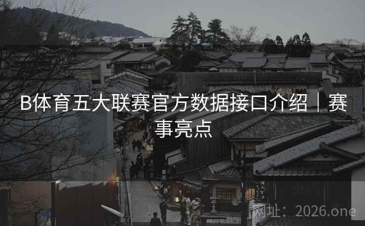 B体育五大联赛官方数据接口介绍｜赛事亮点