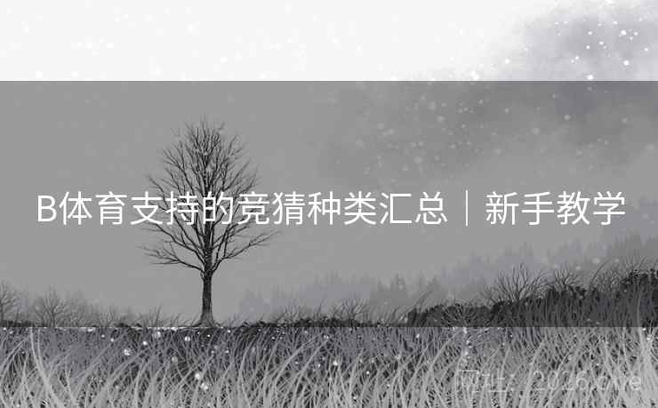 B体育支持的竞猜种类汇总|新手教学 B体育支持的竞猜种类汇总|新手教学