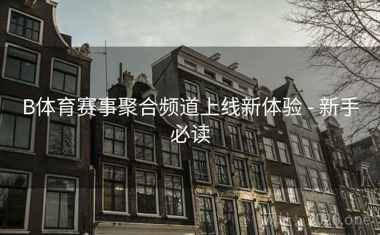 B体育赛事聚合频道上线新体验 - 新手必读 B体育赛事聚合频道上线新体验 - 新手必读