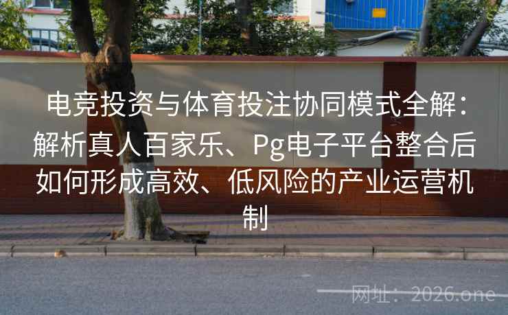 电竞投资与体育投注协同模式全解:解析真人百家乐、Pg电子平台整合后如何形成高效、低风险的产业运营机制 电竞投资与体育投注协同模式全解:解析真人百家乐、Pg电子平台整合后如何形成高效、低风险的产业运营机制