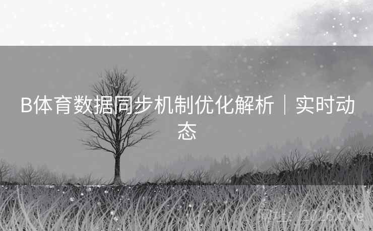 B体育数据同步机制优化解析｜实时动态