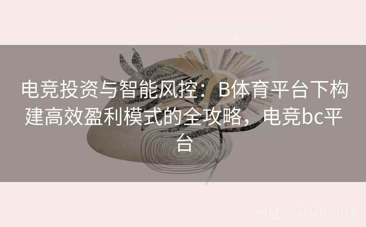 电竞投资与智能风控:B体育平台下构建高效盈利模式的全攻略,电竞bc平台 电竞投资与智能风控:B体育平台下构建高效盈利模式的全攻略,电竞bc平台