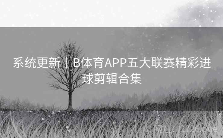 系统更新｜B体育APP五大联赛精彩进球剪辑合集