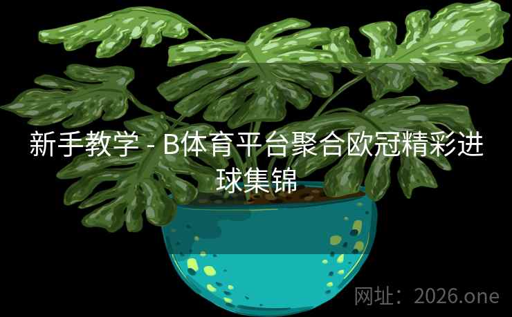 新手教学 - B体育平台聚合欧冠精彩进球集锦 新手教学 - B体育平台聚合欧冠精彩进球集锦